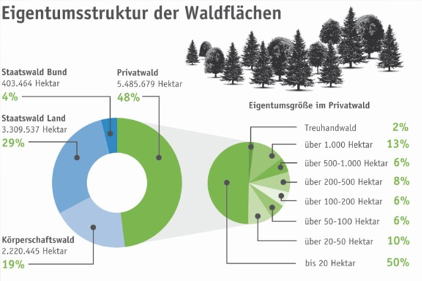 Infografiik Waldfläche
